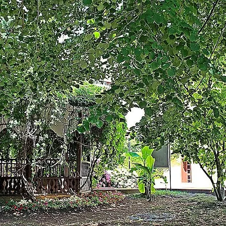 Hotell Duni Pelican Dyuni